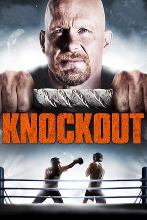 Born to Fight 2011 Hindi Dual Audio [1.3GB] HD Poster Download - filmyfly