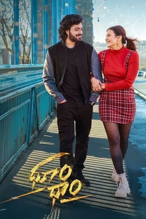 Dhoom Dhaam 2024 Telugu Dubbed HD Poster Download - filmyfly