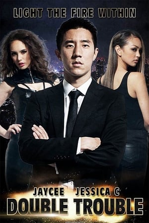 Double Trouble (2012) Hindi Dual Audio 400MB HD Poster Download - filmyfly