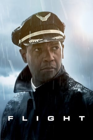 Flight (2012) Hindi Dual Audio [1GB] HD Poster Download - filmyfly