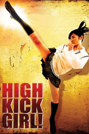 High Kick Girl (2009) 100mb Hindi Dual Audio movie Download HD Poster Download - filmyfly