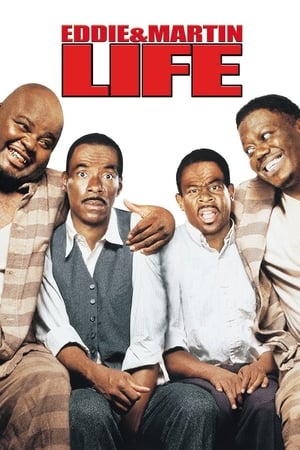 Life (1999) Hindi Dual Audio 350MB HD Poster Download - filmyfly