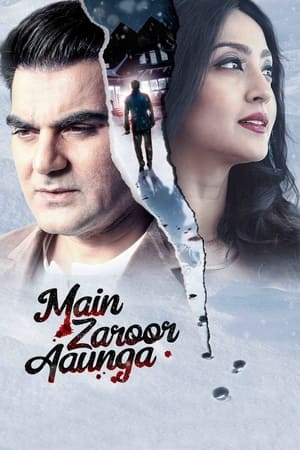 Main Zaroor Aaunga 2019 Hindi Movie - [260MB] HD Poster Download - filmyfly