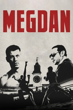 Return to the Ring (2024) Hindi (MULTI AUDIO) HD Poster Download - filmyfly