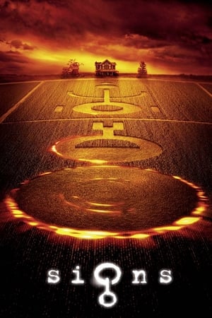 Signs 2002 Hindi Dual Audio 380MB HD Poster Download - filmyfly