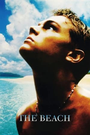 The Beach (2000) Hindi Dual Audio 400MB HD Poster Download - filmyfly