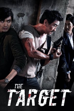 The Target (2014) Hindi Dual Audio [900MB] HD Poster Download - filmyfly