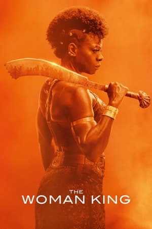 The Woman King 2022 Hindi (Cleaned) Dual Audio – HD Poster Download - filmyfly